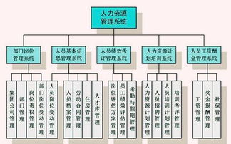 人力资源管理信息系统 企业数字化管理的核心引擎